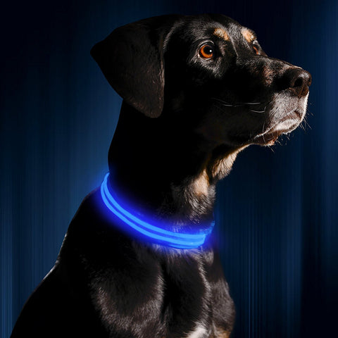 LED Dog Collar