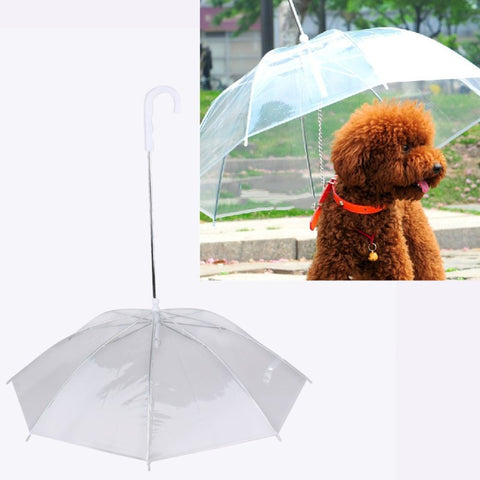 Pet Umbrella