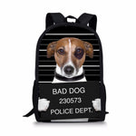 Cat Dog Backpack for  Student