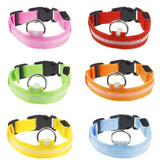 LED Dog Collar