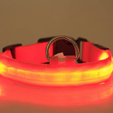 LED Dog Collar