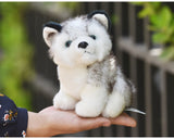 Feromey™  Cute Puppy Stuffed Toys