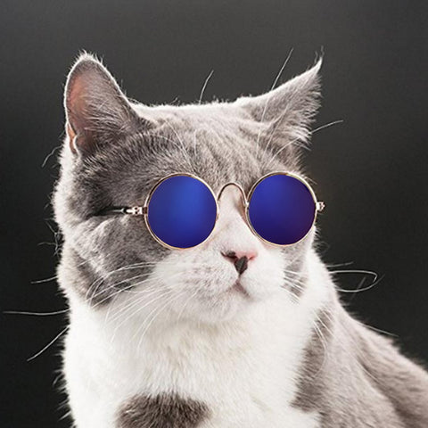 Cat/Dog Glasses