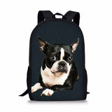 Cat Dog Backpack for  Student