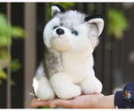 Feromey™  Cute Puppy Stuffed Toys